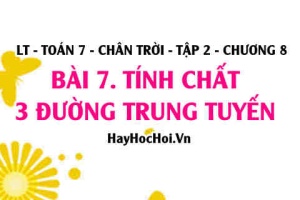 Tính chất 3 đường trung tuyến của tam giác? Toán 7 chân trời tập 2 chương 8 bài 7